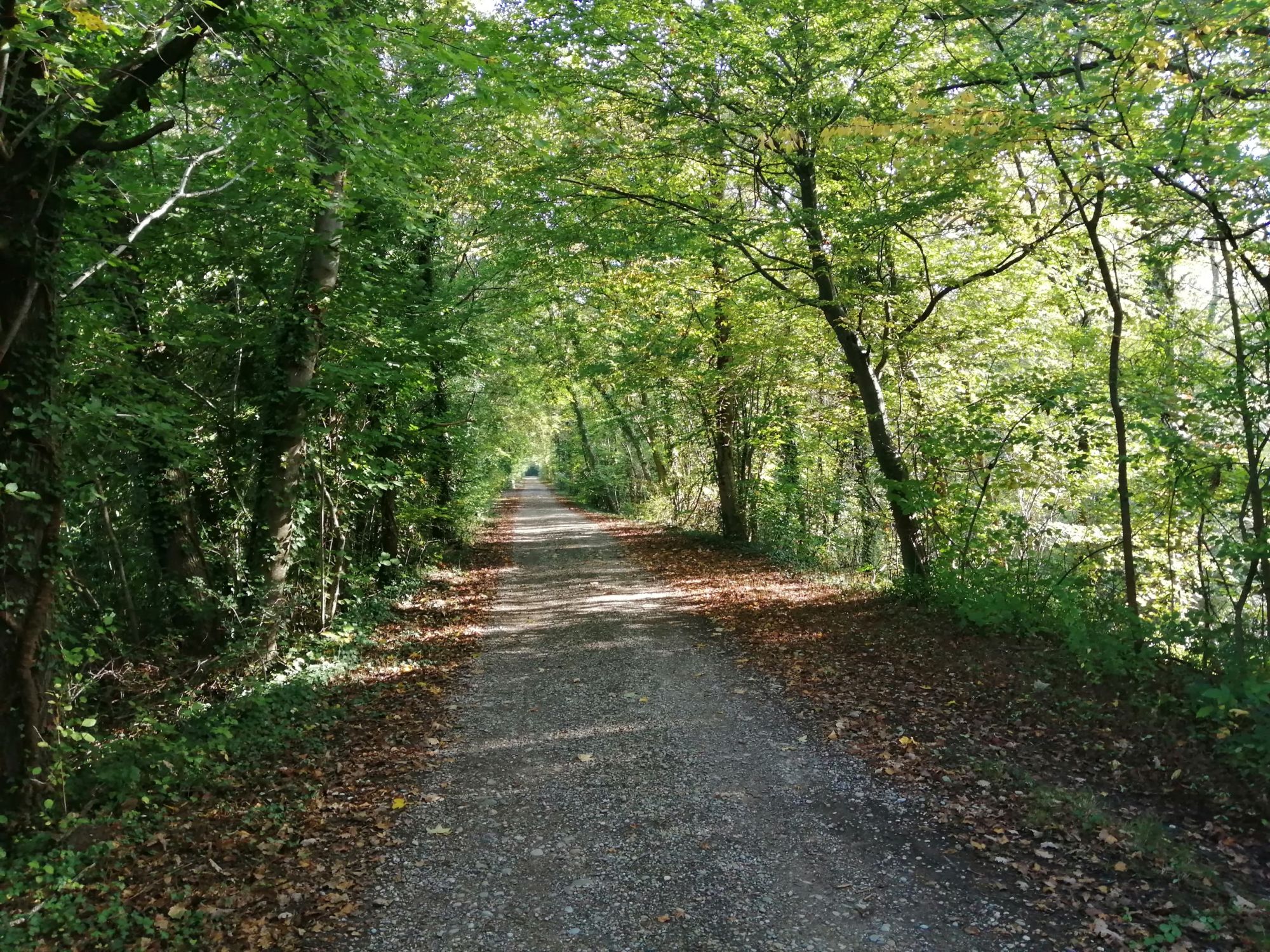 digue nord automne