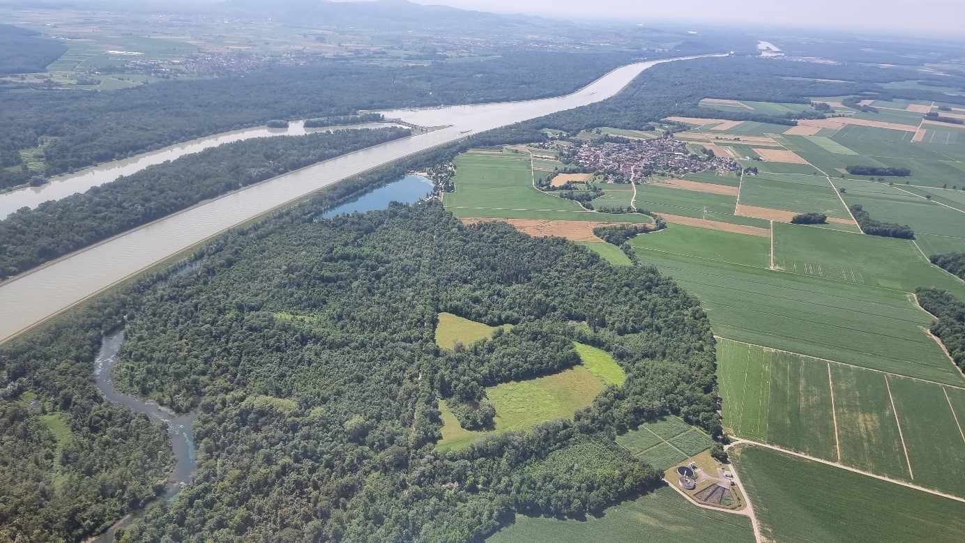 La forêt rhénane vue du ciel