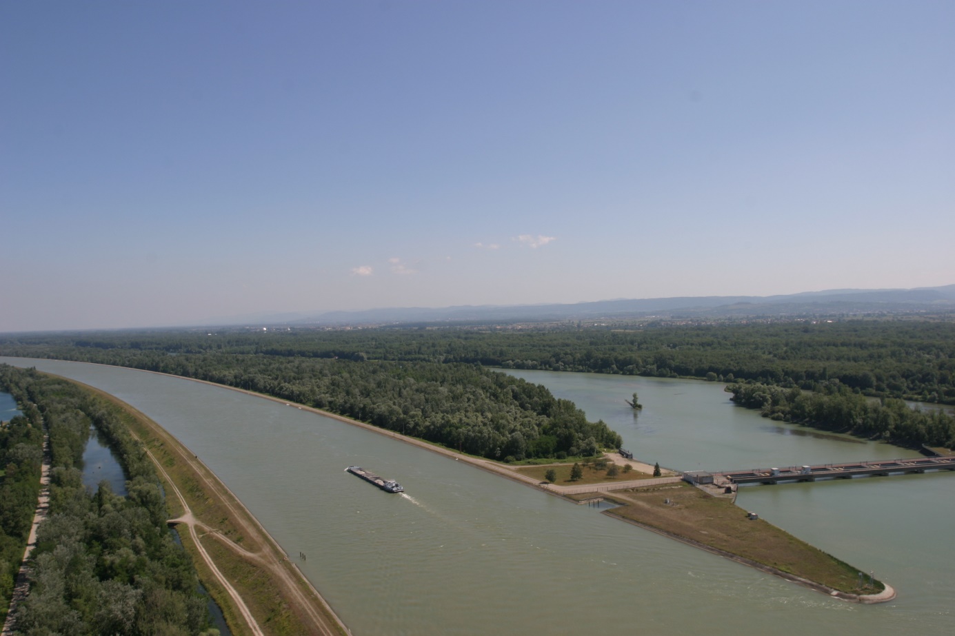 Sud de l’île de Rhinau